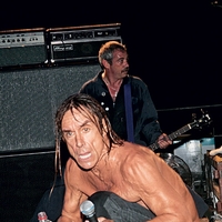 Iggy Pop: Dedek roka v Ljubljani
