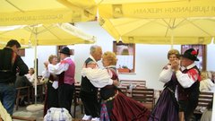 Slovenski tradicionalni plesi spadajo v okolje kakršno nudi Slovenski hram.