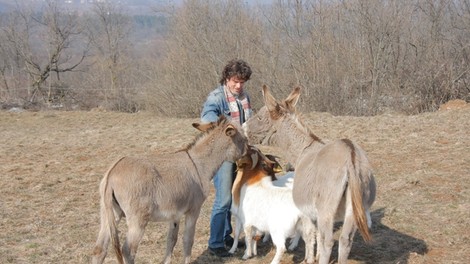 Kalamari, koze in osli