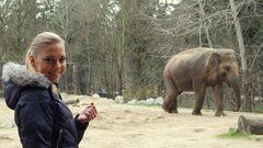 Majo je zanimalo, zakaj slonica v živalskem vrtu ves čas hodi v krogu.