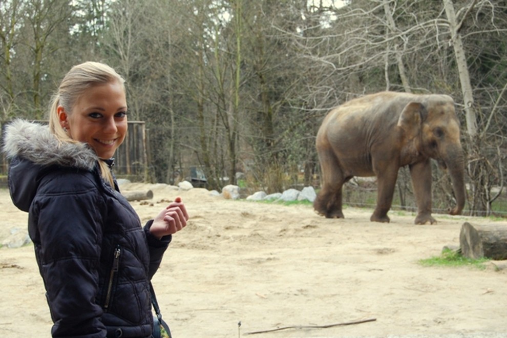 Majo je zanimalo, zakaj slonica v živalskem vrtu ves čas hodi v krogu.