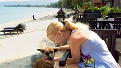 Na Tajskem je veliko zapuščenih psov, ki so Tayi delali družbo med zajtrkom v prestižnem hotelu. “Le zajtrk sva jedla v hotelu - kadar ga nisva prespala,” je povedal Jernej.
