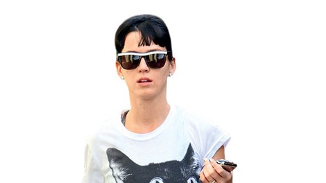 Katy Perry: Najela šepetalca mačkam