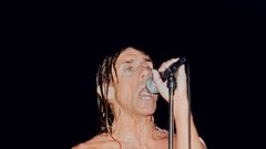 Fotografije, na katerih je Iggy v vsej svoji scenski pompoznosti in s katerimi obeležuje 40. obletnico izida albuma Raw Power, je posnel sloviti fotograf Mick Rock.