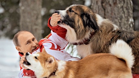 Vladimir Putin je nor na svoje pse