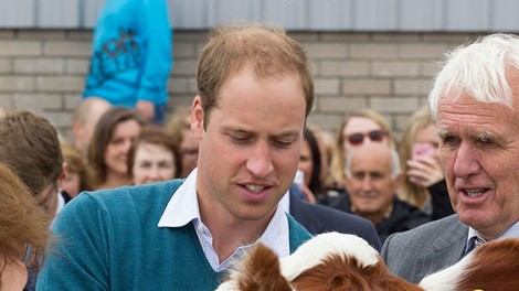 Princ William na srečanju kmetovalcev