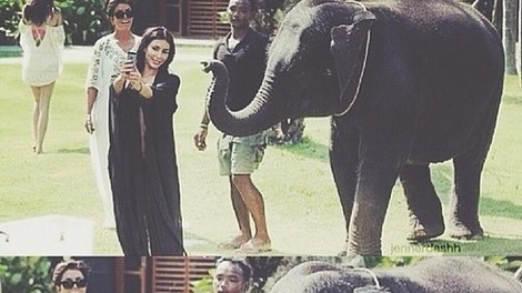 Kim Kardashian med fotografiranjem presenetil slon