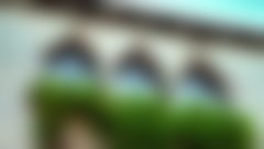 Foto: Vladimir Bugarin