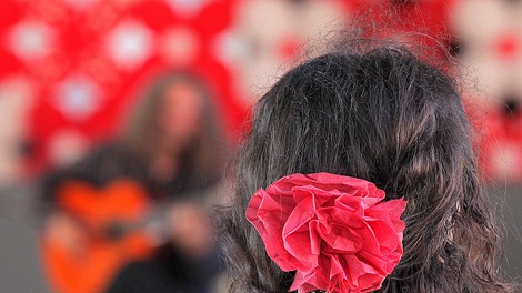 Ta konec tedna priporočamo flamenko!