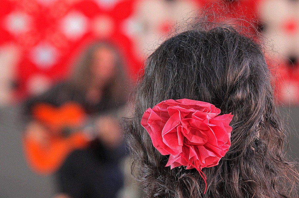 Flamenko (foto: CoraViento)