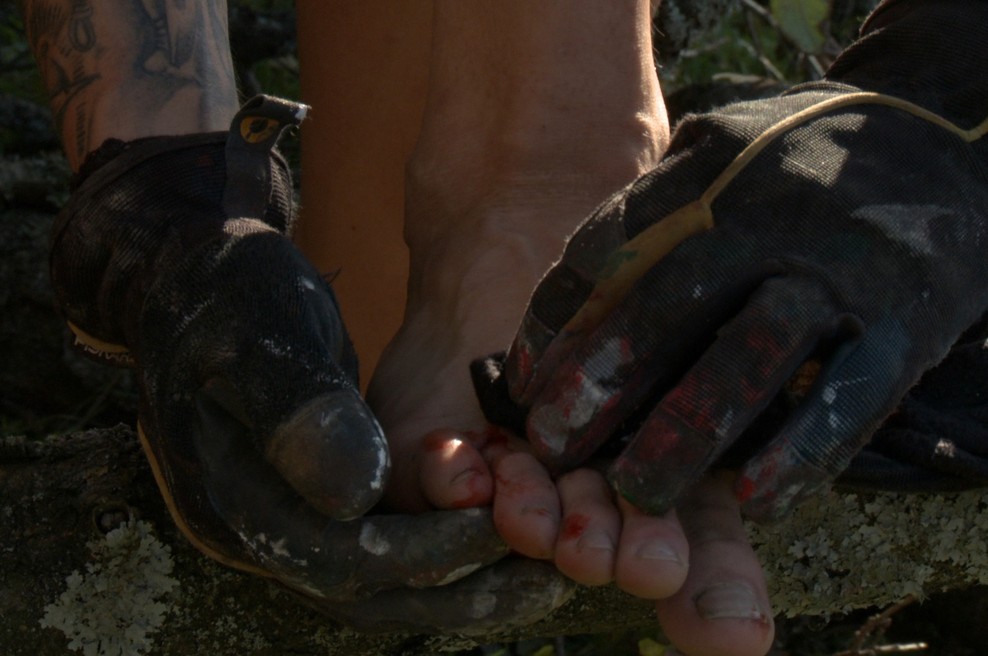 Kmetija: Nov začetek (foto: Planet TV)