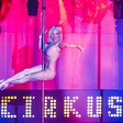 Klub Cirkus zavzele vroče plesalke ob drogu