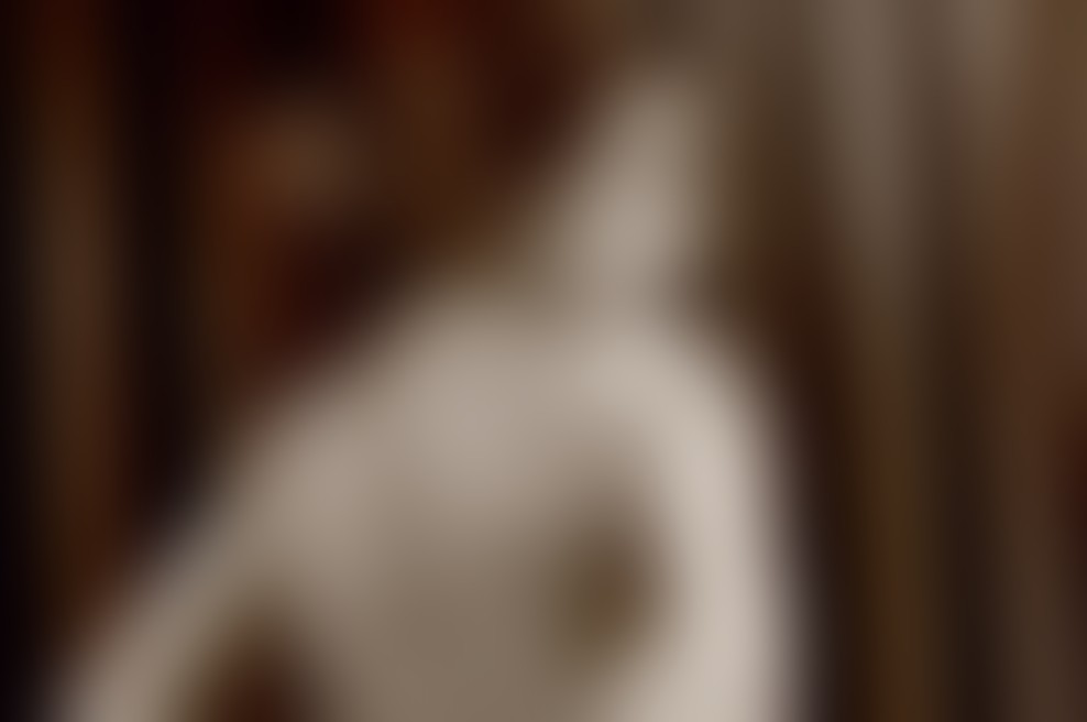 Flamenko v Ljubljani