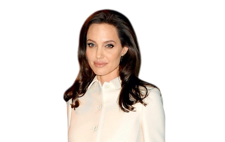 Angelina Jolie je najela varnostnike za internet (foto: profimedia)