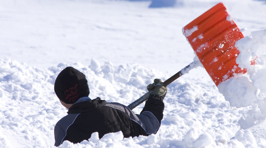 Zakopani v sneg? (foto: shutterstock)