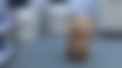 Na velika platna se vrača naj medvedek Ted