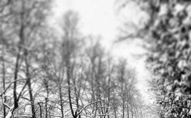 Ljubljana v snegu