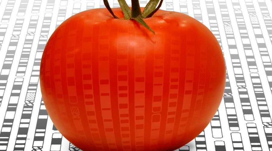 Kloniranje. (foto: profimedia)