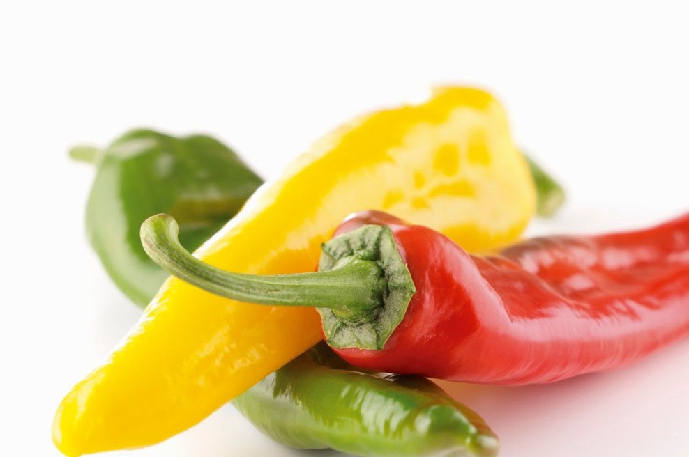 Ekstra literarni feferonček v Modrijanovi knjigarni (foto: profimedia)