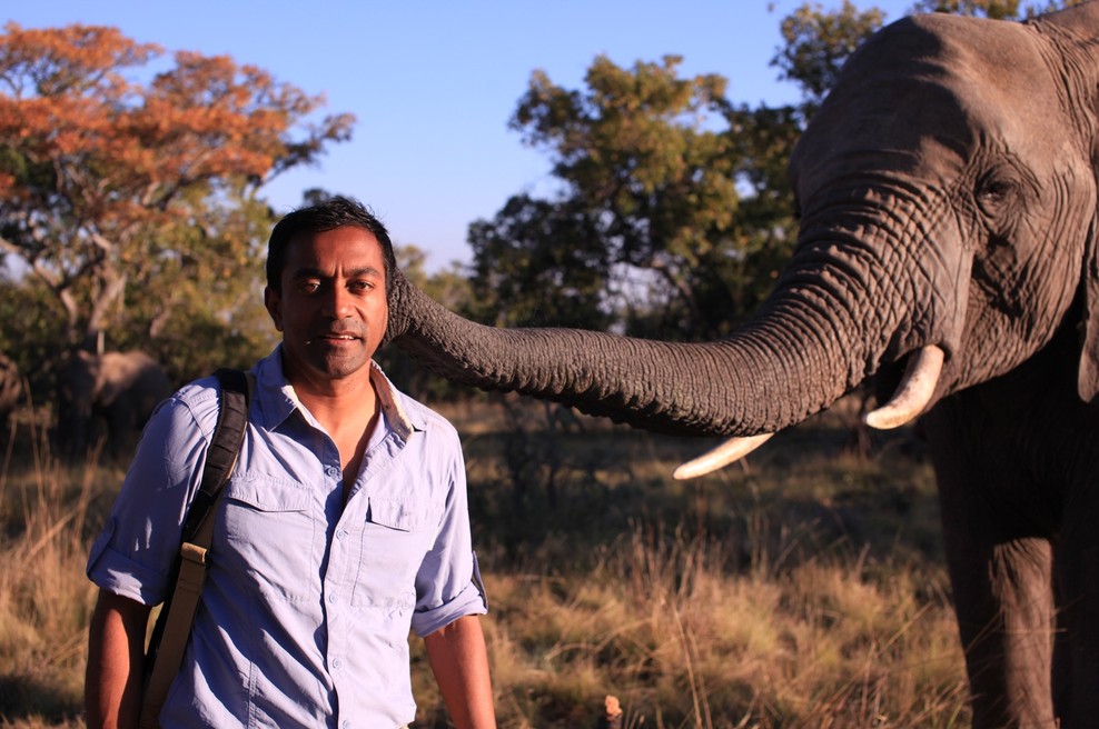 National Geographic Channel s serijo o preživetju v divjini (foto: Fox TV)