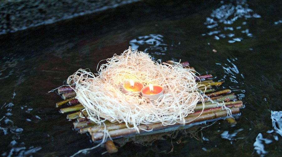 Pozdrav pomladi z Gregorčki 2015 (foto: Nada Žgank)