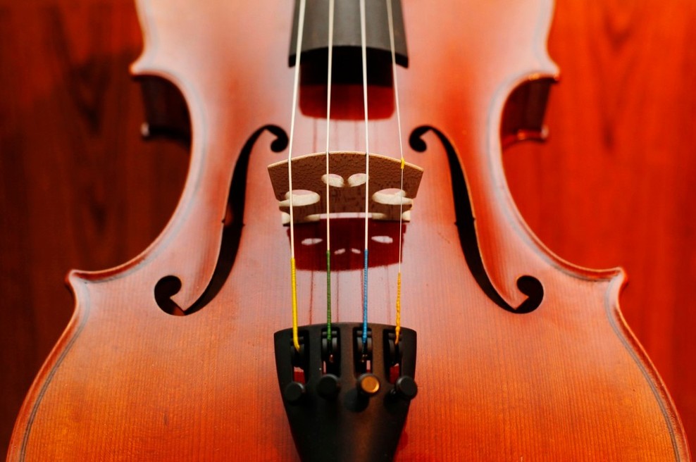 Bach bo za rojstni dan zazvenel v podhodih in na trgih (foto: profimedia)