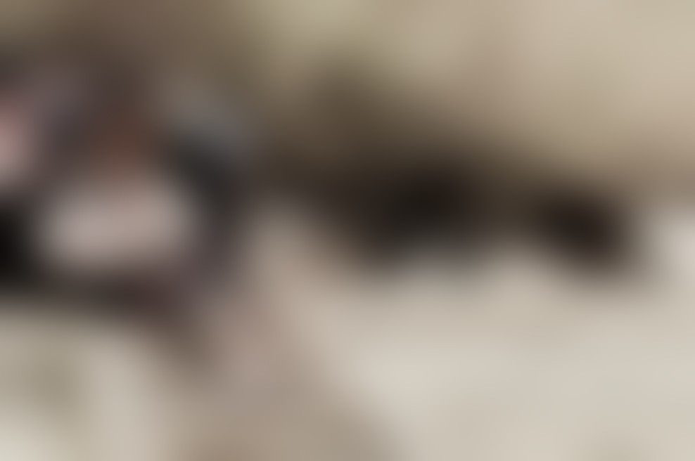 Ciganka - glasbeno-plesno-gledališka predstava v Cankarjevem domu