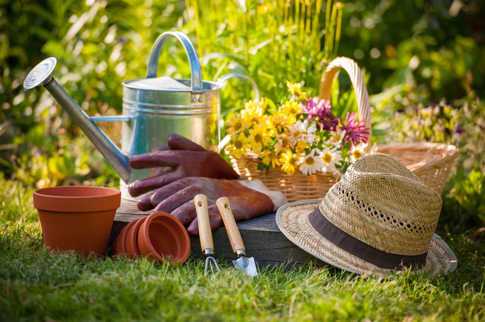 Naravno vrtnarjenje in vrtičkanje za vsak žep (foto: shutterstock)