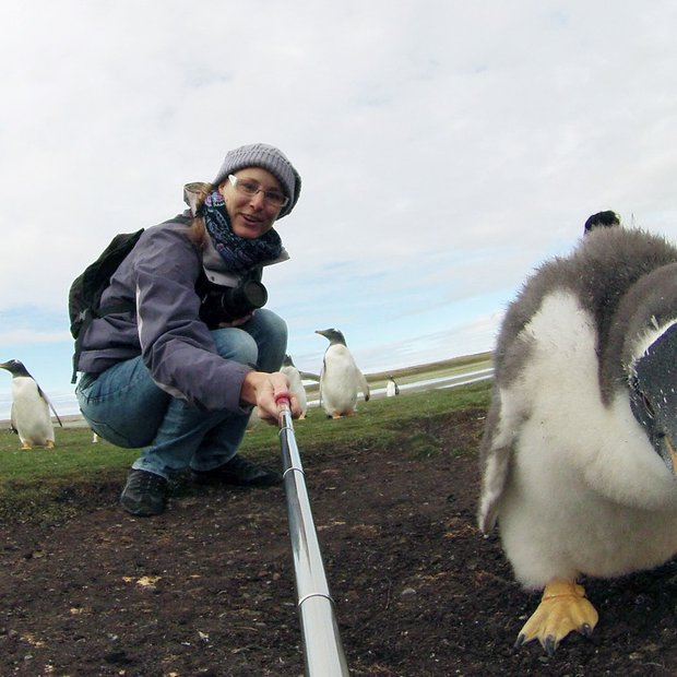 Selfie z radovednim malim pingvinom!