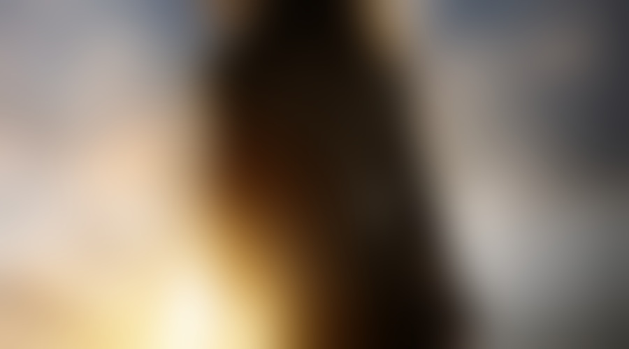 Najnovejši napovednik za "Terminator: Genisys" dviguje prah!