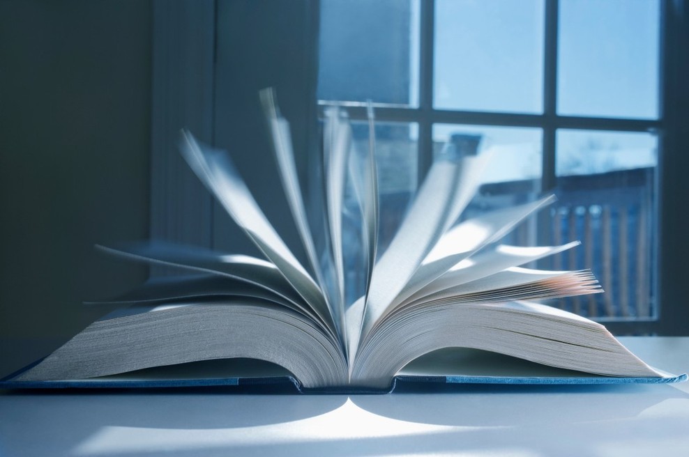 Prepišno uredništvo LUD Literatura spet odpira svoja vrata (foto: profimedia)