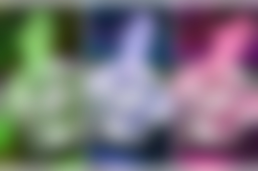 Povezava Ivane Šundov in akcije »Pobarvaj naprej« potrjena!