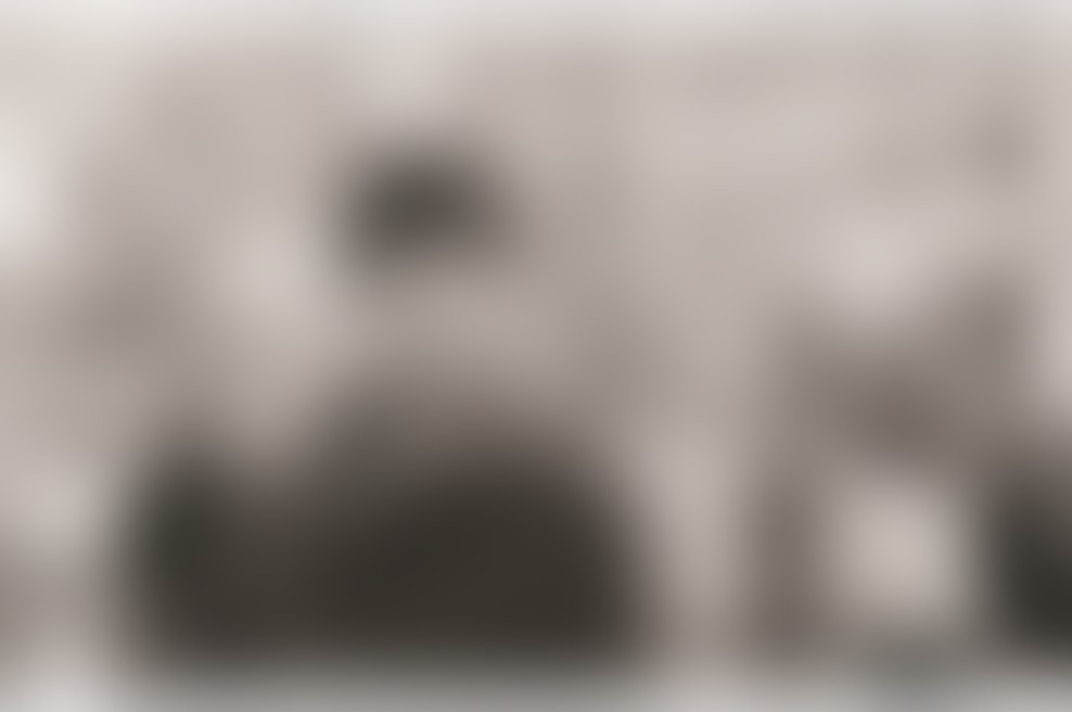 Mehiška pisateljica Valeria Luiselli na obisku