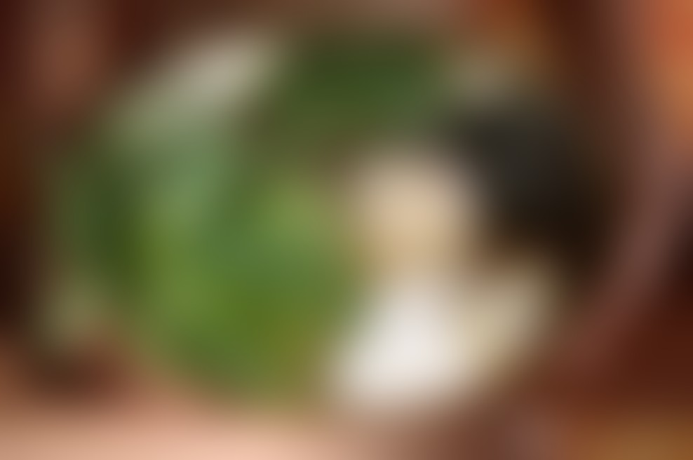 Predavanje dr. Vinod Verma: "Bolezni, ki izhajajo iz življenskega sloga in njihovo preprečevanje"