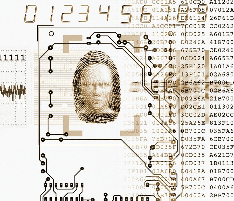 Biometrični potni list - rešitev problema kraje identitete! (foto: profimedia)