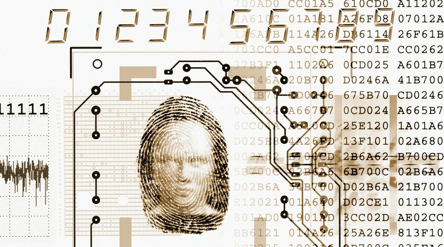 Biometrični potni list - rešitev problema kraje identitete! (foto: profimedia)