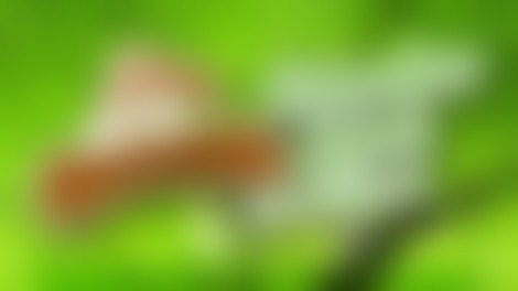 Krjavljev sejem na Muljavi