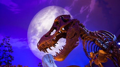 Mesec dinozavrov na National Geographic Channelu
