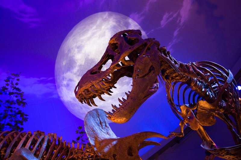 Mesec dinozavrov na National Geographic Channelu (foto: Fox Tv)