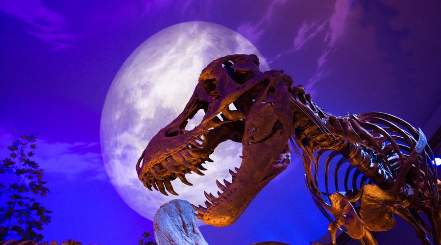 Mesec dinozavrov na National Geographic Channelu (foto: Fox Tv)