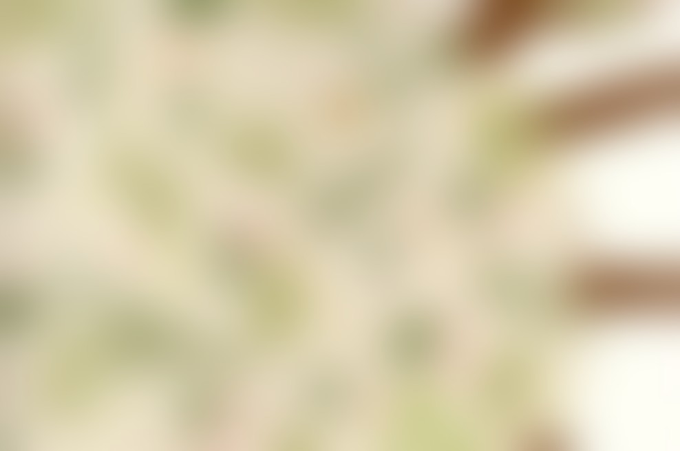 Angleško-slovenska ilustratorka Lara Hawthorne v Sloveniji