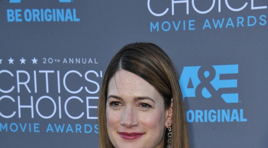 Gillian Flynn v slovenščini še s svojim prvencem Ostrina (foto: profimedia)