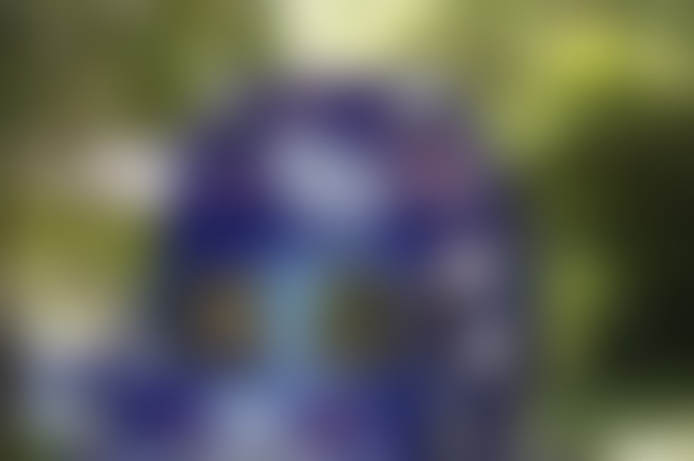 Najbolj fer kulinarična izkušnja na slovenskih ulicah