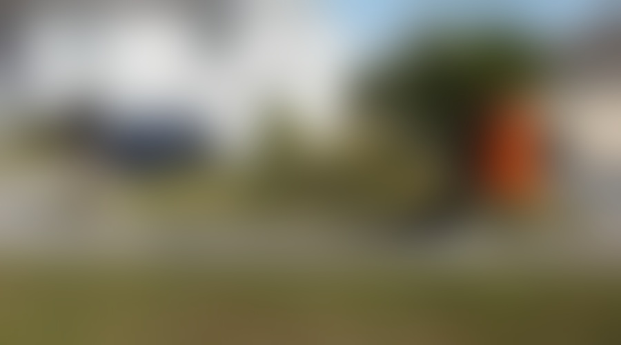 TLC odkriva nenavadne ljubezenske zgodbe