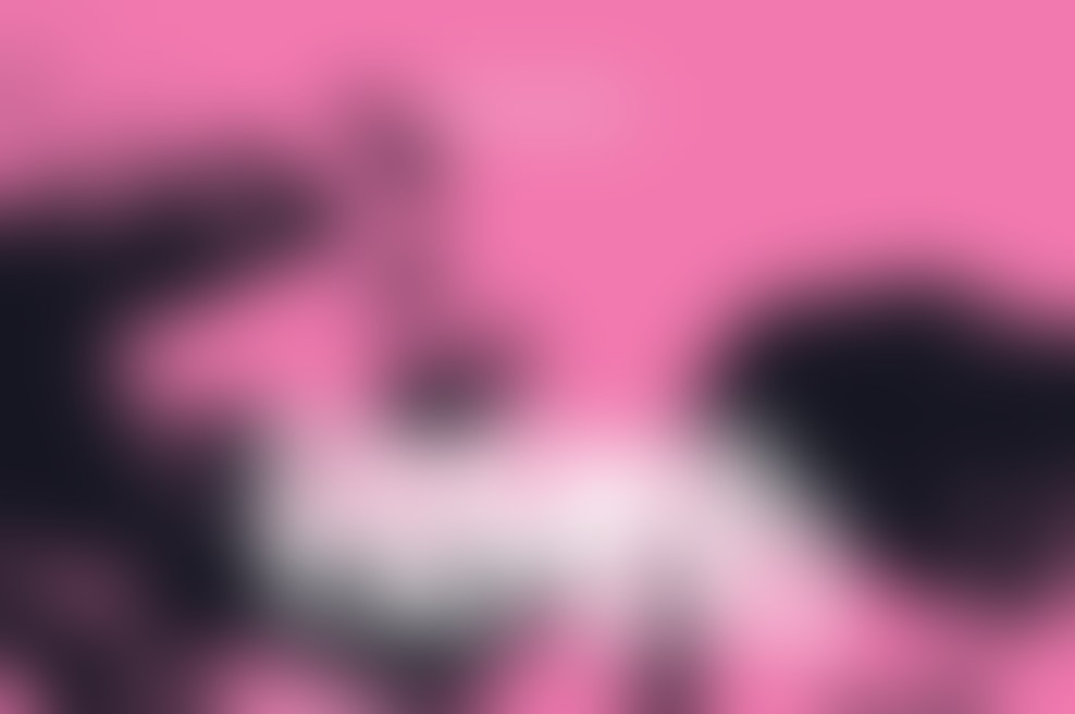 Denis & Denis se vračajo v Kino Šiška