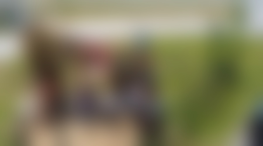 Poletni pozdrav iz Srečne hise