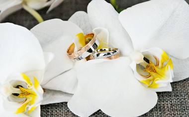 Miša Margan in njena poroka med orhidejami