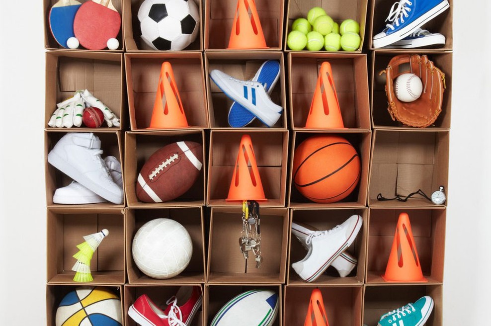 Košarkarska zveza Slovenije išče Navijača št. 1 (foto: profimedia)