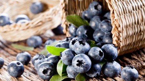 Borovnice - čudežno živilo, ki razbija maščobo in pomlajuje!