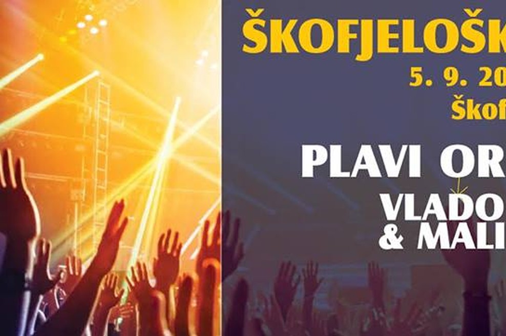 Škofjeloška noč prestavljena na pokrito prizorišče starega Nunskega vrta (foto: fb)